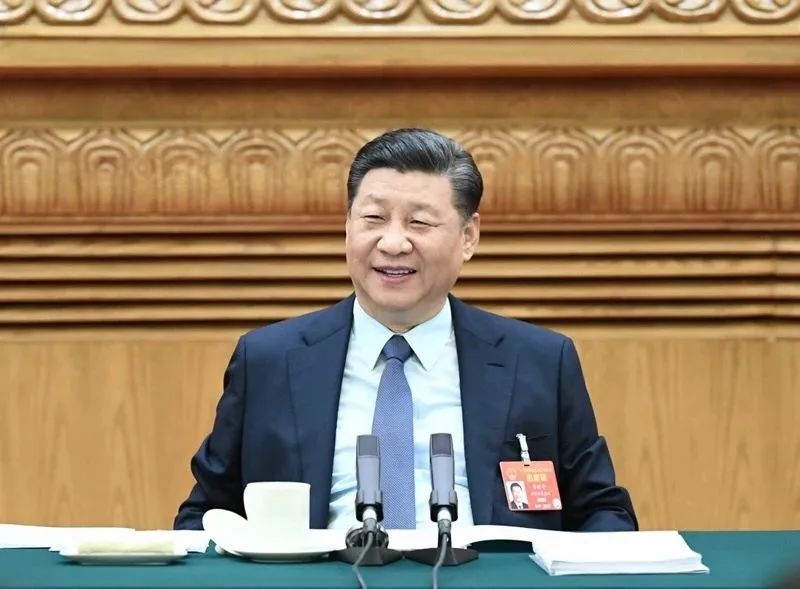 2019年3月8日，習(xí)近平參加十三屆全國(guó)人大二次會(huì)議河南代表團(tuán)的審議。新華社記者 謝環(huán)馳 攝