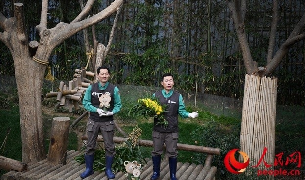 熊貓飼養(yǎng)員姜哲遠(yuǎn)和宋永寬向媒體介紹為“福寶”準(zhǔn)備的送別禮物。人民網(wǎng) 李帆攝