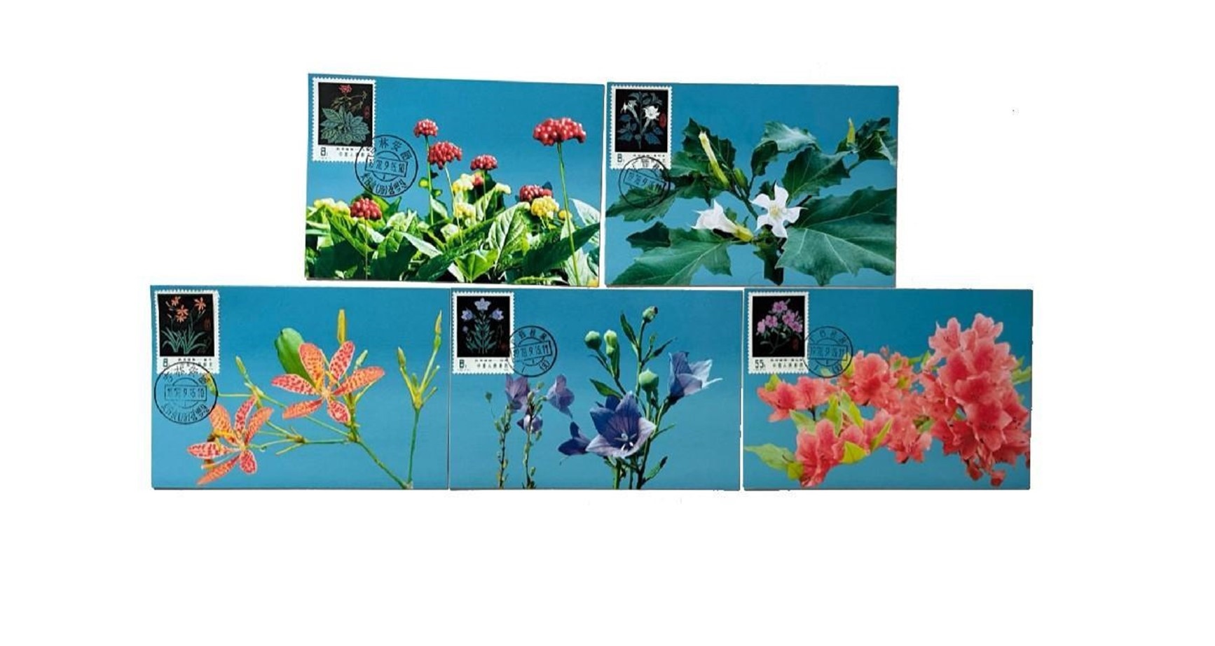 首套藥用植物極限片。第七屆阿聯(lián)酋集郵展主辦方供圖