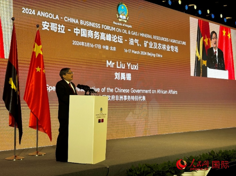 中國(guó)政府非洲事務(wù)特別代表劉禹錫。人民網(wǎng)記者 張榮攝