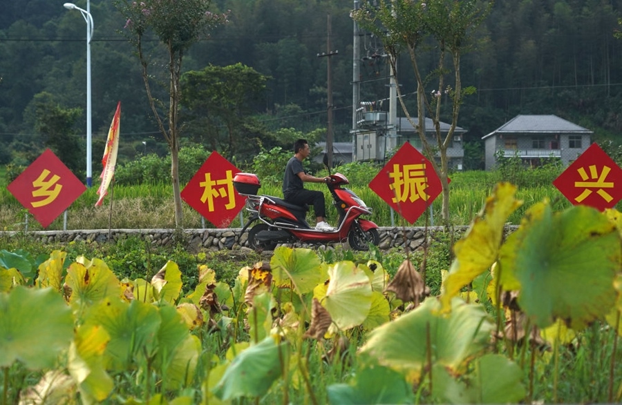 2023年8月24日拍攝的江西省靖安縣璪都鎮(zhèn)港背村一景。該村在當(dāng)?shù)卣С窒拢薰沤?，建民宿，搞開(kāi)發(fā)，引進(jìn)竹筏漂流、觀光采摘、農(nóng)耕體驗(yàn)、森林研學(xué)等多種旅游業(yè)態(tài)，建成新田園生態(tài)度假小鎮(zhèn)，發(fā)展鄉(xiāng)村旅游，走上致富路。