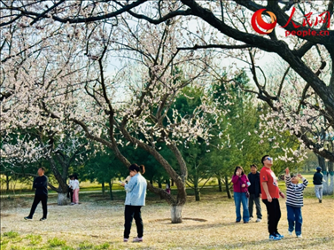 游客在北京長(zhǎng)陽(yáng)公園賞花。人民網(wǎng)記者 劉微攝