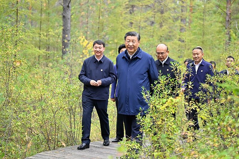 △2023年9月6日，習(xí)近平總書(shū)記在大興安嶺地區(qū)漠河市漠河林場(chǎng)自然林區(qū)考察。