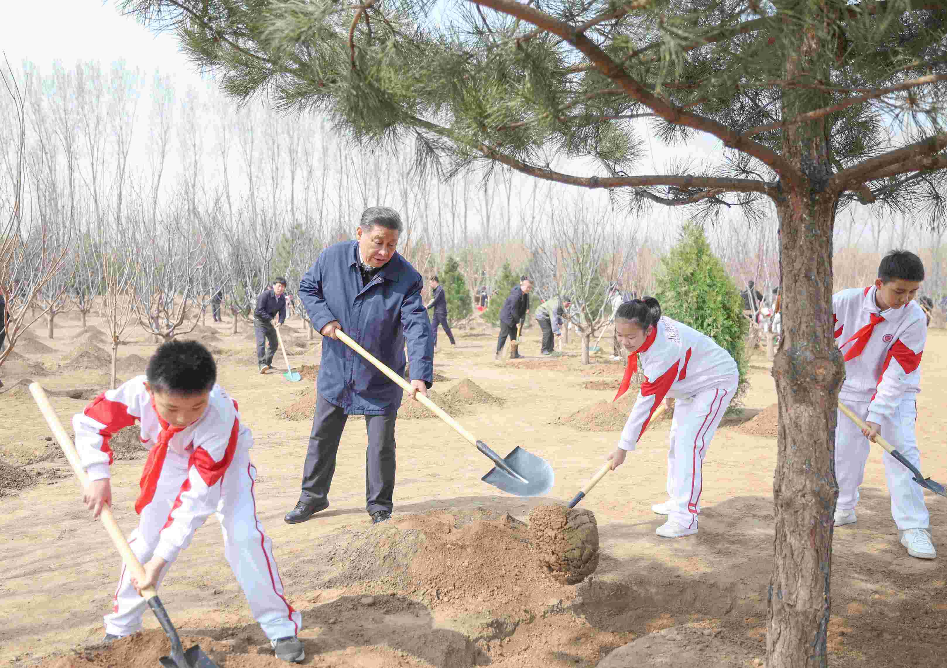 2024年4月3日，習(xí)近平總書記來到北京市通州區(qū)潞城鎮(zhèn)參加首都義務(wù)植樹活動。