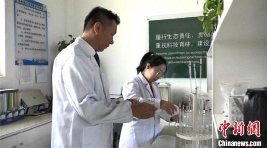 圖為王佐(左一)在廠區(qū)實(shí)驗(yàn)室內(nèi)工作。白先森 攝