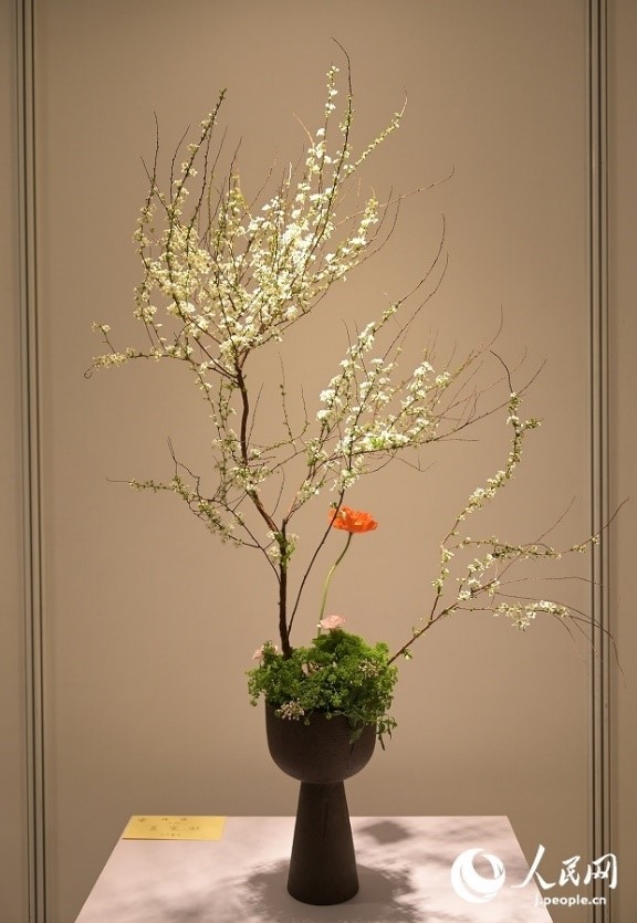 插花作品。人民網(wǎng) 玄番登史江攝