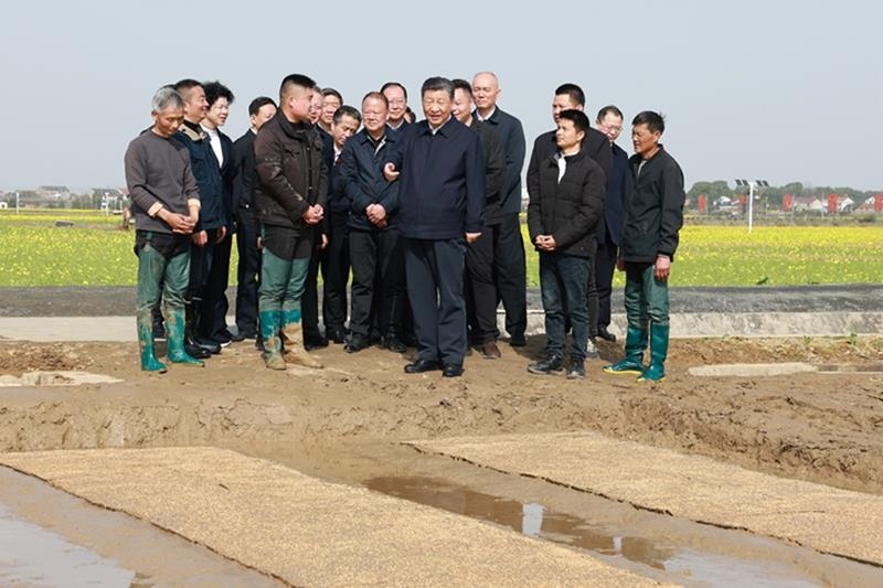 △2024年3月19日，在湖南常德市鼎城區(qū)謝家鋪鎮(zhèn)港中坪村，習(xí)近平總書記走進田間，察看秧苗培育和春耕備耕進展。
