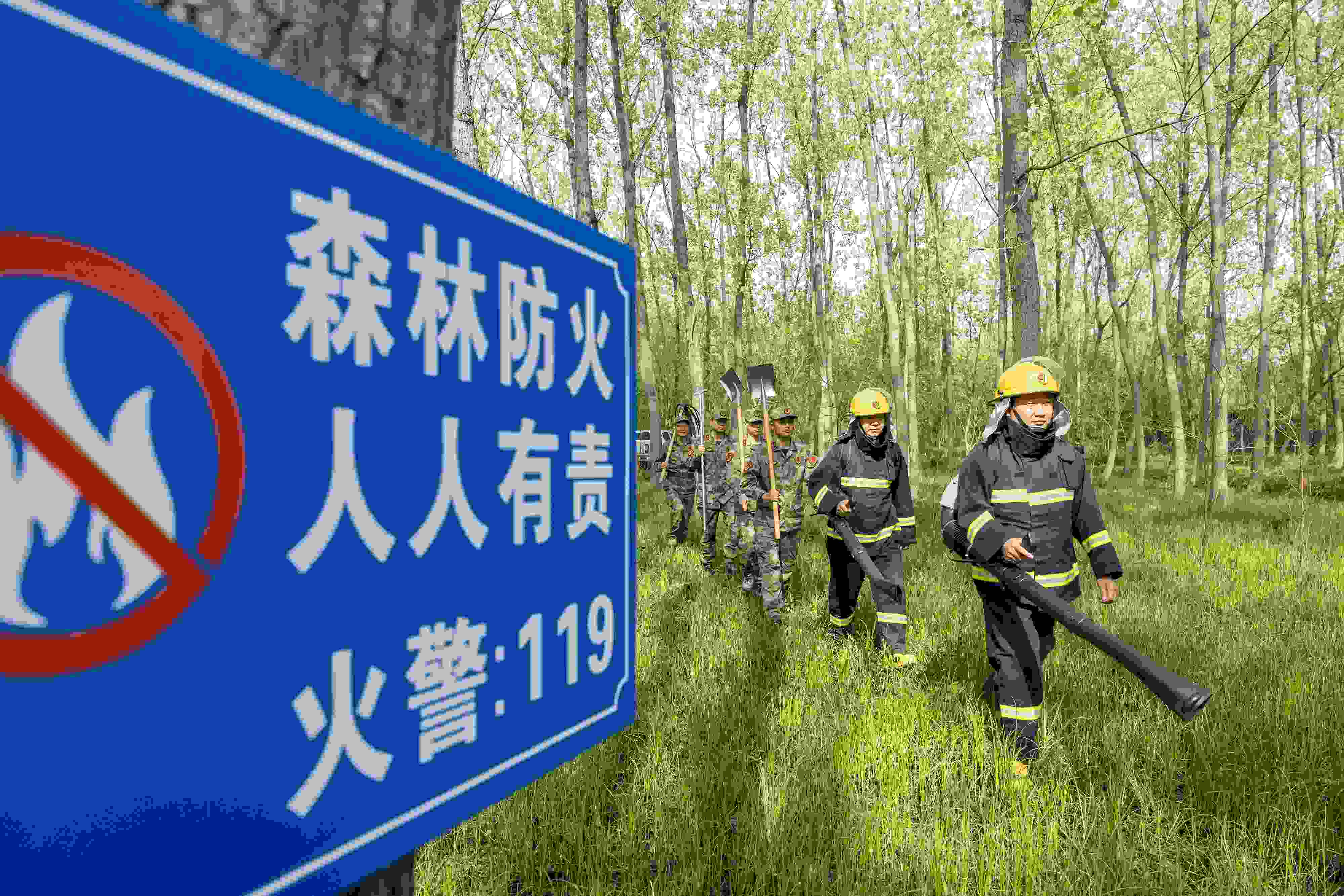 2024年4月9日，合肥市大房郢水庫水源保護地廬陽經(jīng)濟開發(fā)區(qū)段，基干民兵正在林間巡查火災(zāi)隱患。