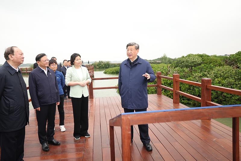 △2023年4月10日，習(xí)近平總書記在廣東湛江市麻章區(qū)湖光鎮(zhèn)金牛島紅樹林片區(qū)考察。