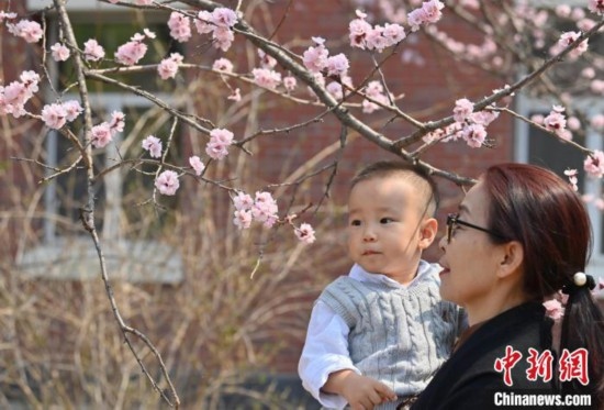 4月21日，游客在吉林大學南嶺校區(qū)賞花。張瑤 攝