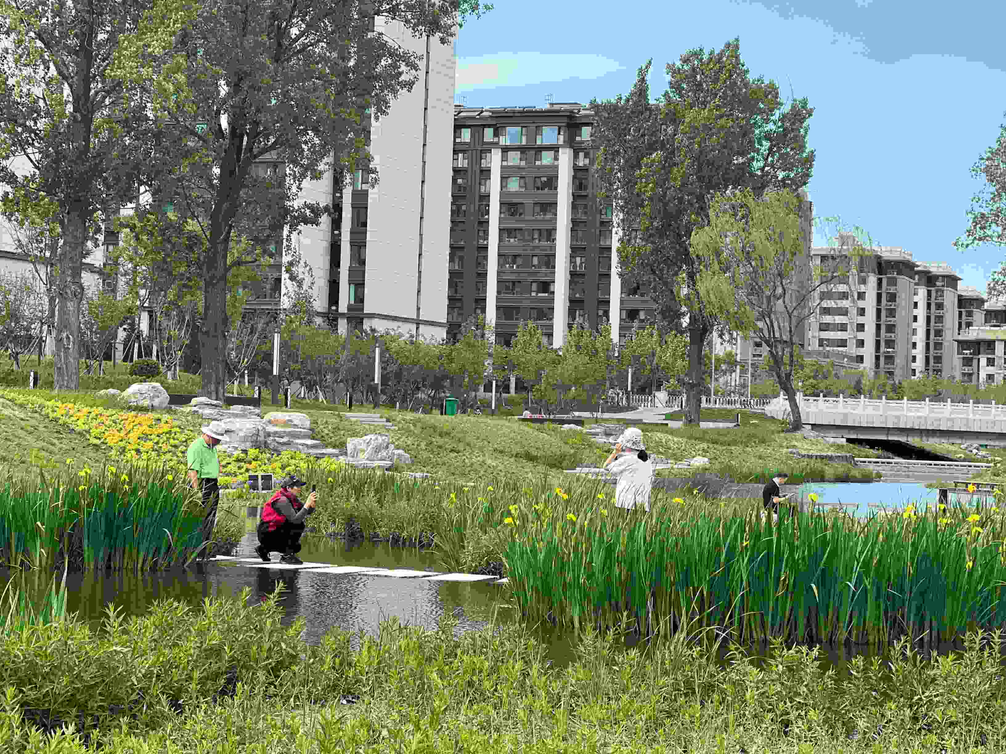 五一渠生態(tài)濱河公園內(nèi)，市民正在拍照留念。人民網(wǎng) 歐陽易佳攝