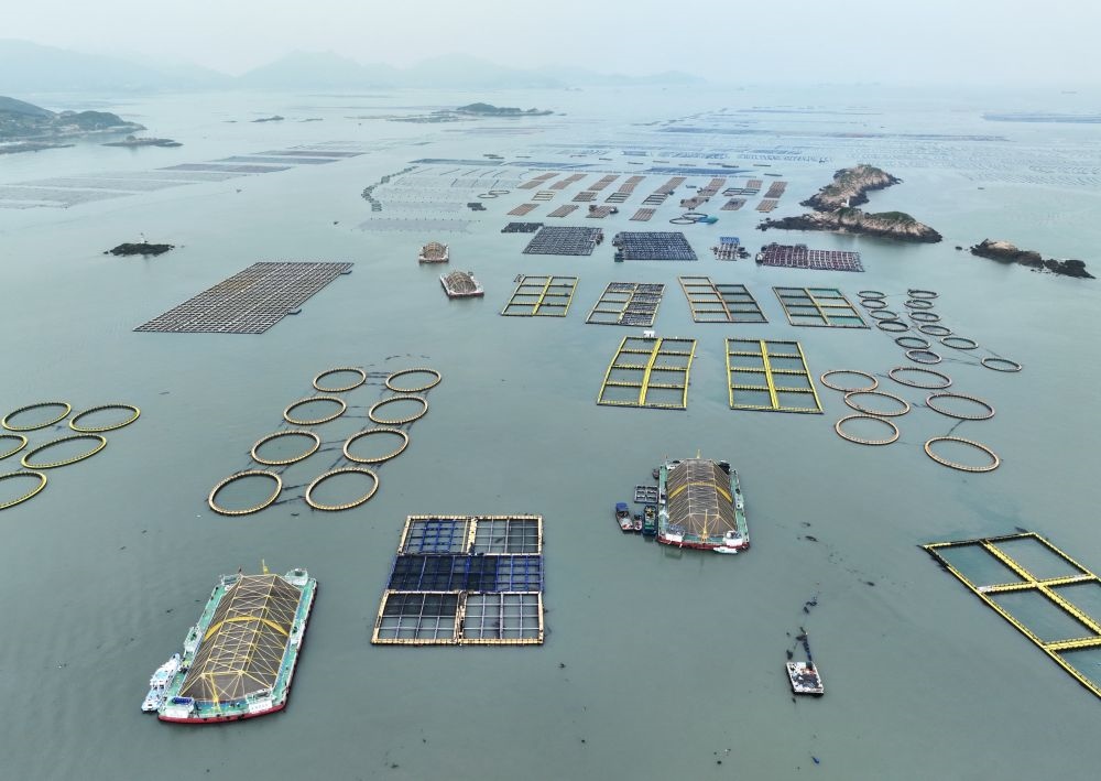 在福建連江定海灣海域，坐落著“定海灣1號”“定海灣2號”等深遠海養(yǎng)殖平臺（2024年5月7日攝，無人機照片）。新華社記者 林善傳 攝