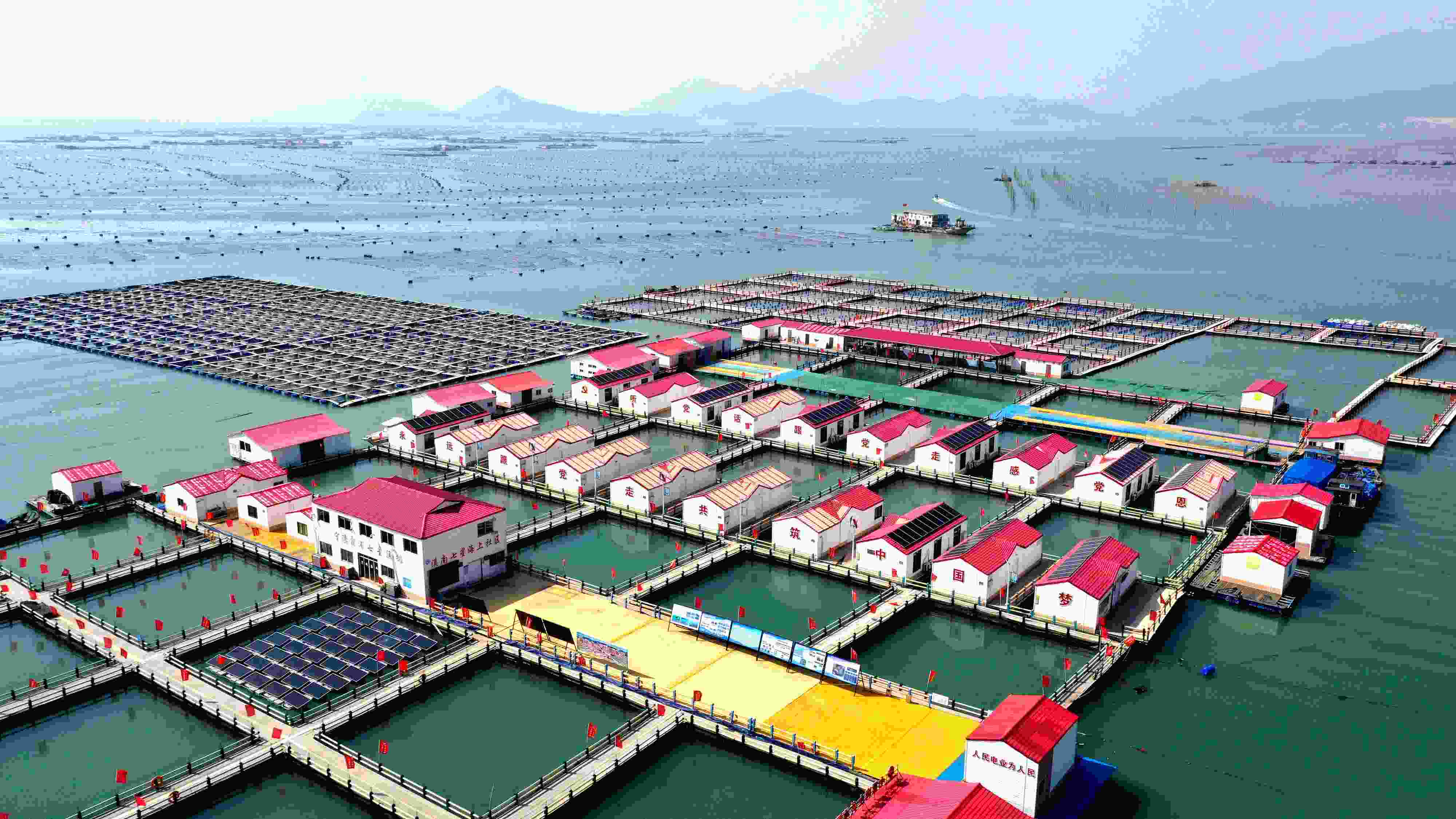 2024年3月20日，福建省寧德市，霞浦縣溪南鎮(zhèn)七星村漁排養(yǎng)殖示范區(qū)，漁民駕駛養(yǎng)殖船進(jìn)行海參養(yǎng)殖作業(yè)。