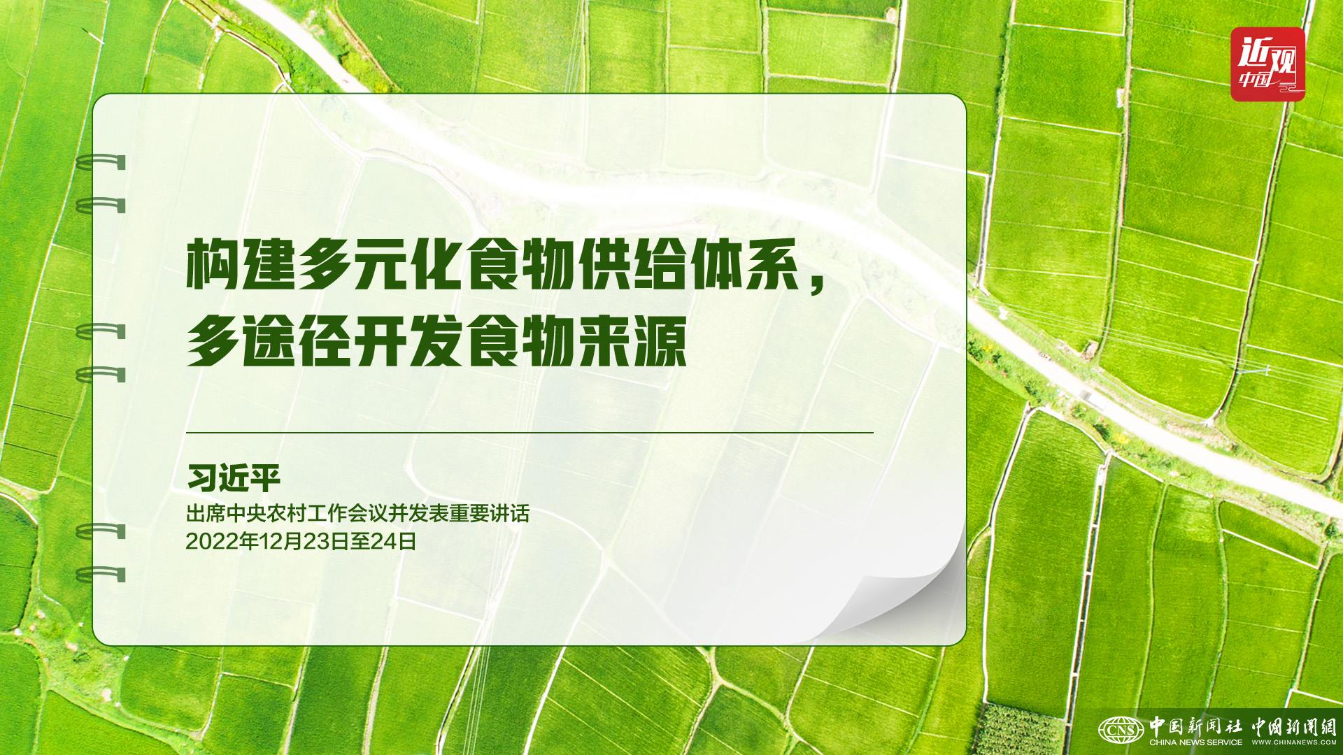習(xí)近平：樹立大食物觀，構(gòu)建多元化食物供給體系