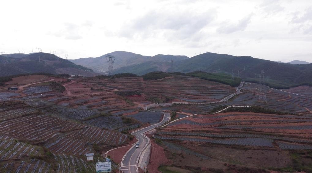 火普村的藍莓基地一角（無人機照片）。新華社記者 尹恒 攝