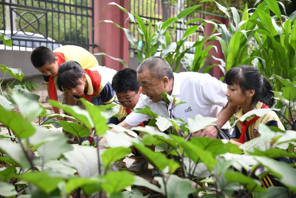 5月31日，老師帶領(lǐng)學(xué)生在之江小學(xué)勞動實踐基地學(xué)習(xí)蔬菜知識。新華社記者 胥冰潔 攝