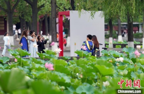 6月19日，時值一年畢業(yè)季，四川大學望江校區(qū)荷花池里的荷花盛開，成為了畢業(yè)生們的打卡圣地，吸引了眾多畢業(yè)生拍照留念。圖為畢業(yè)生在荷花池邊拍照留念。中新社記者 安源 攝