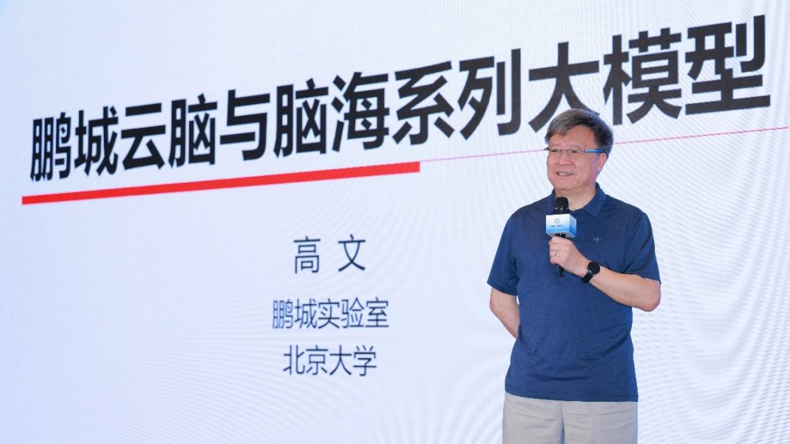 高文院士做大會(huì)特邀報(bào)告。主辦方供圖
