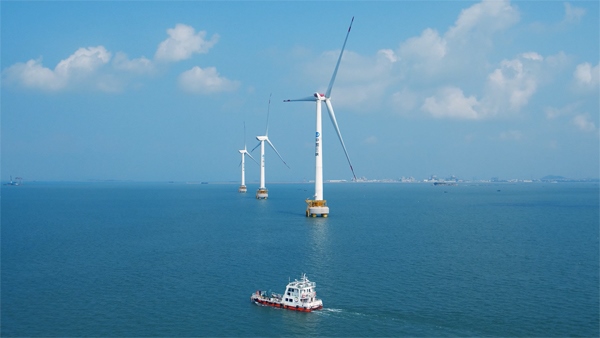 福建興化灣海上風(fēng)電場。受訪者供圖