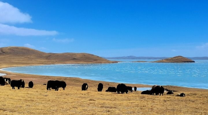 在三江源國(guó)家公園黃河源園區(qū)拍攝的扎陵湖風(fēng)光（2022年3月12日攝）。新華社記者 呂雪莉 攝
