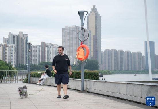 7月20日，在安徽蕪湖市，馬丁在長(zhǎng)江邊遛狗。新華社記者 傅天 攝