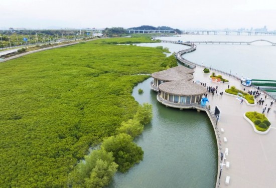2024年1月23日拍攝的廈門市翔安區(qū)下潭尾紅樹林公園（無(wú)人機(jī)照片）。新華社記者 林善傳 攝