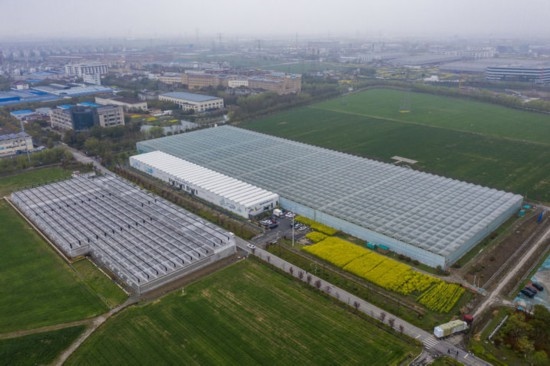 2024年3月28日，空中俯瞰嘉興南湖區(qū)湘家蕩農(nóng)業(yè)數(shù)字化工廠（無(wú)人機(jī)照片）。該農(nóng)業(yè)數(shù)字化工廠占地總面積約62畝，包含智慧農(nóng)業(yè)生產(chǎn)、物聯(lián)網(wǎng)智能管理、自動(dòng)分揀包裝、保鮮儲(chǔ)藏物流、高科技示范展示等五大功能區(qū)，可直接或間接培養(yǎng)帶動(dòng)新型職業(yè)技術(shù)農(nóng)民500人以上。新華社記者 徐昱 攝