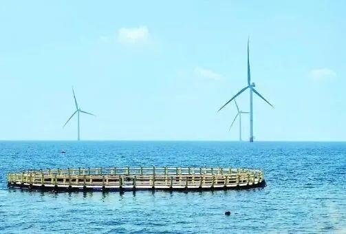 △山東萊州風(fēng)電項(xiàng)目實(shí)現(xiàn)了海上風(fēng)電和海洋牧場(chǎng)融合發(fā)展。
