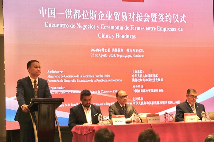 中國商務部外貿司司長李興乾發(fā)表講話。埃內斯托·多明戈斯攝