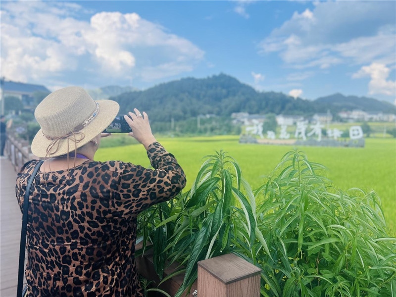 “我在花茂有塊田”，不僅是中國人的詩和遠方，也是塔吉克斯坦“阿維斯塔”通訊社總編輯占納特洪·庫爾班諾娃的“烏托邦”。（張亞欣攝）