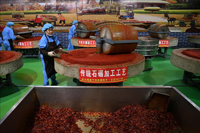 工人用電動石碾加工辣椒面。新華社記者 范培珅 攝