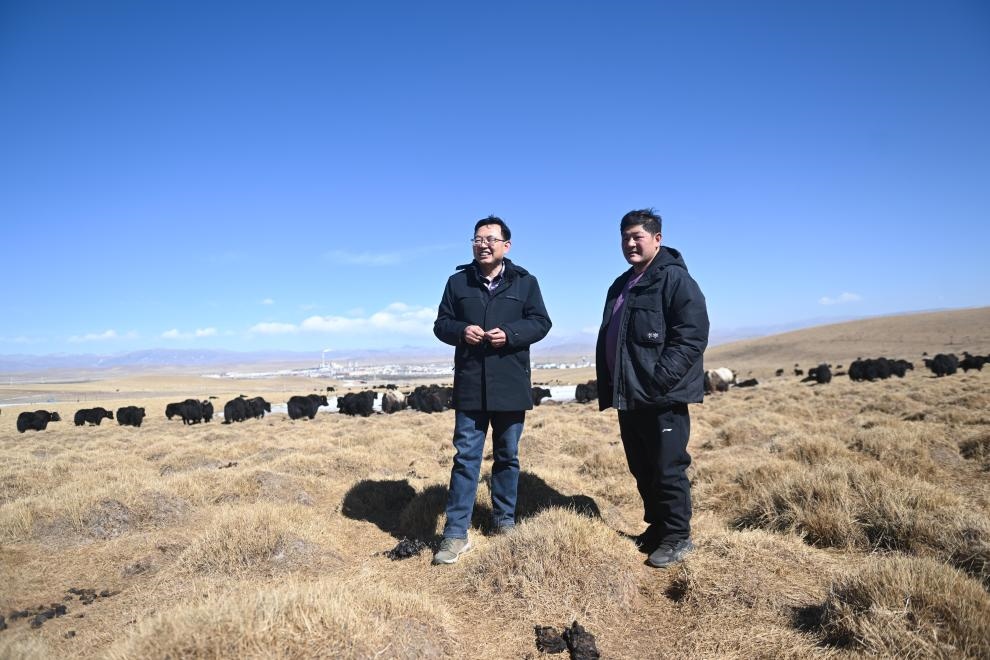 2023年2月24日，在青海省海北藏族自治州海晏縣青海湖鄉(xiāng)達(dá)玉日秀村，全國人大代表董全民（左）查看牧民東知布家的草場。新華社記者 張龍 攝