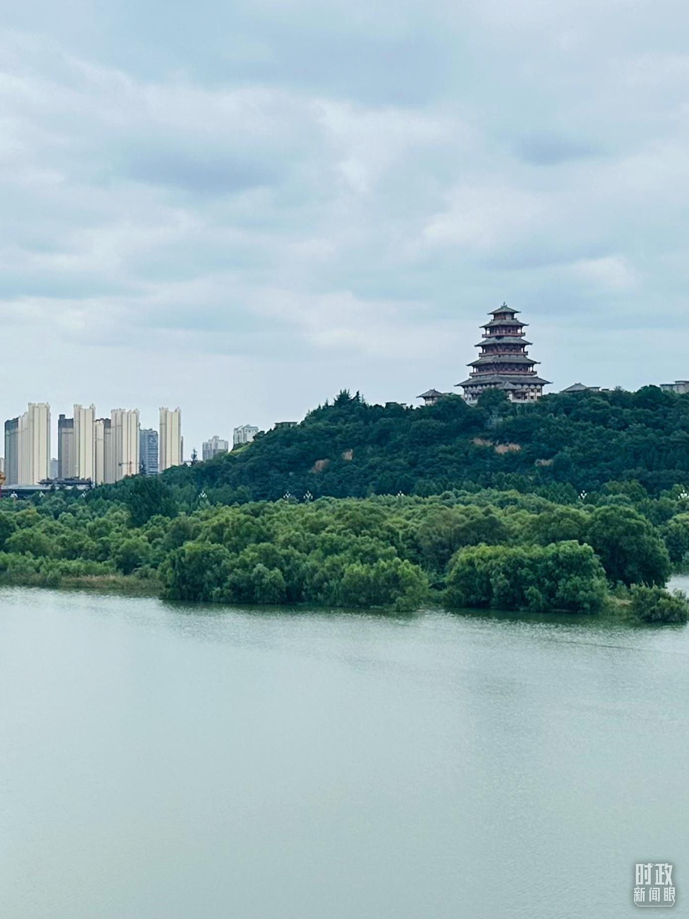△渭河寶雞段長(zhǎng)224公里，目前建成17處渭河灘區(qū)生態(tài)涵養(yǎng)區(qū)。（總臺(tái)央視記者范一鳴拍攝）