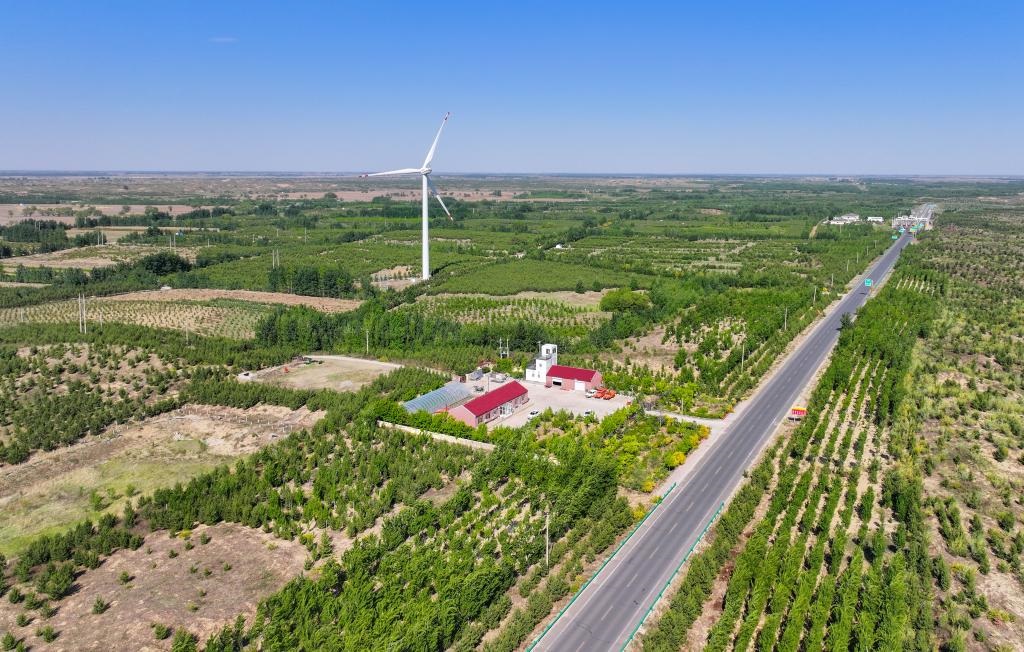 在內(nèi)蒙古通遼市，科爾沁沙地正漸漸披上綠裝。新華社記者連振 攝