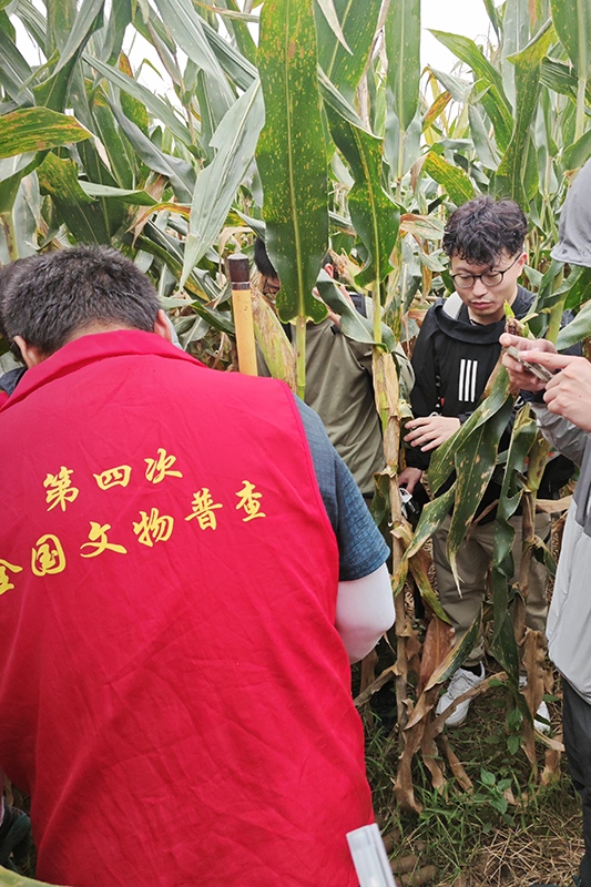 普查隊(duì)員正在使用探鏟進(jìn)行探測(cè)。中國(guó)文物報(bào)供圖
