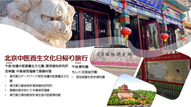“你好！中國·休閑旅游—中國旅游說明會”宣講材料。中國駐東京旅游辦事處供圖
