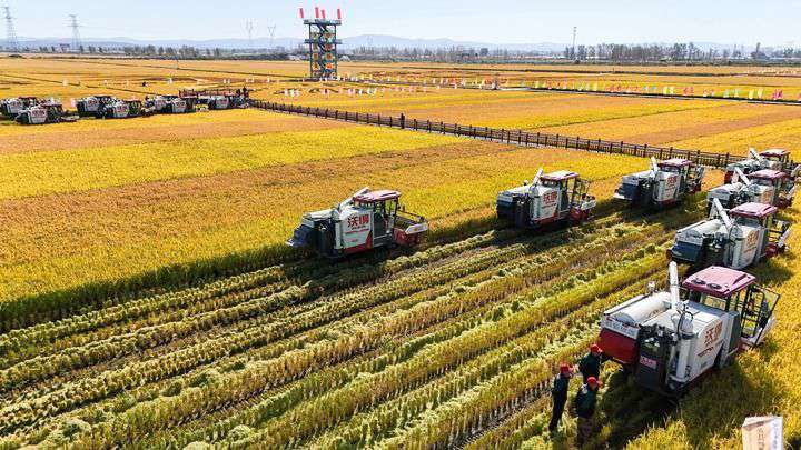 2024年9月22日，在黑龍江省重要糧食產(chǎn)區(qū)哈爾濱市方正縣的稻田中，農(nóng)機(jī)開啟“黑龍江秋收第一鐮”作業(yè)（無人機(jī)照片）。新華社記者 王松 攝