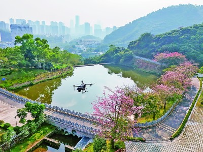 無(wú)人機(jī)在深圳塘朗山郊野公園里巡檢。新華社發(fā)
