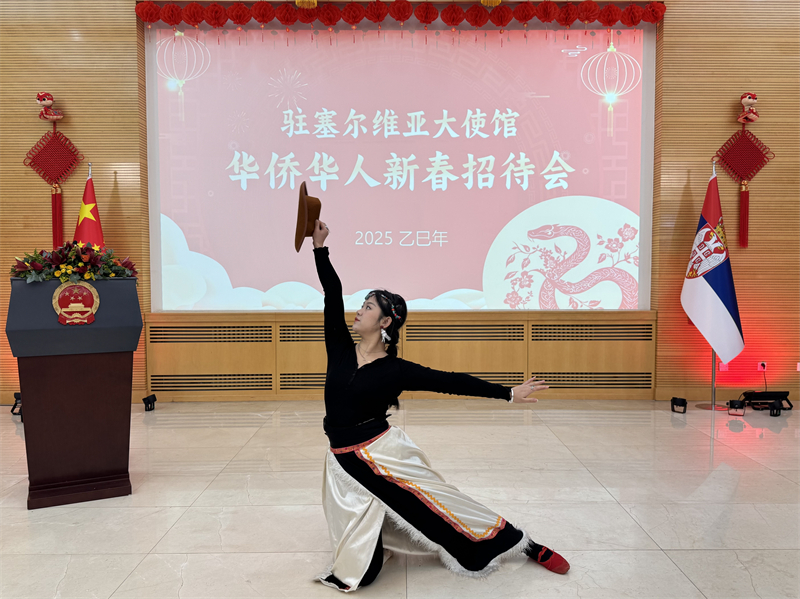 招待會(huì)現(xiàn)場(chǎng)表演。諾維薩德孔子學(xué)院供圖