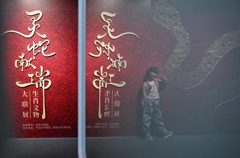 1月18日，一名小朋友在國家自然博物館舉辦的“靈蛇獻(xiàn)瑞——2025乙巳蛇年生肖文物大聯(lián)展”展覽中拍照留念。（新華社記者 陳鐘昊 攝）