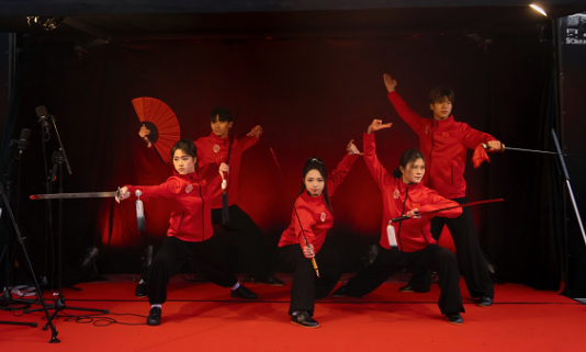武術(shù)表演。中國駐芬蘭大使館供圖