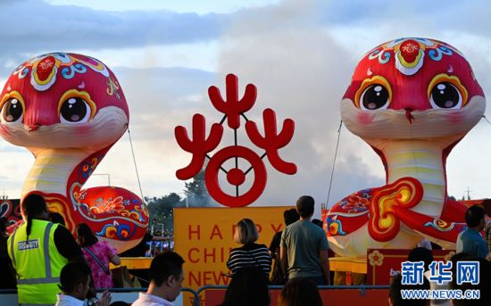 圖為游客在2025年奧克蘭元宵燈節(jié)游覽。（圖片由奧克蘭中國文化中心提供）