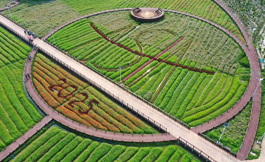 這是3月21日拍攝的瓊海博鰲南強(qiáng)村景色（無(wú)人機(jī)照片）。新華社記者 郭程 攝