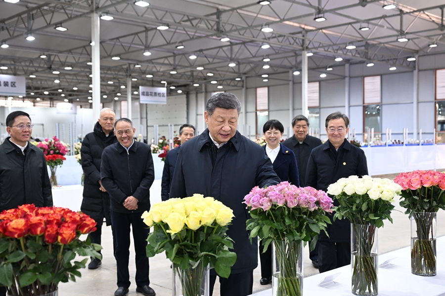 △3月19日下午，習(xí)近平總書記在云南麗江現(xiàn)代花卉產(chǎn)業(yè)園展廳考察時，察看鮮切花品種展示。