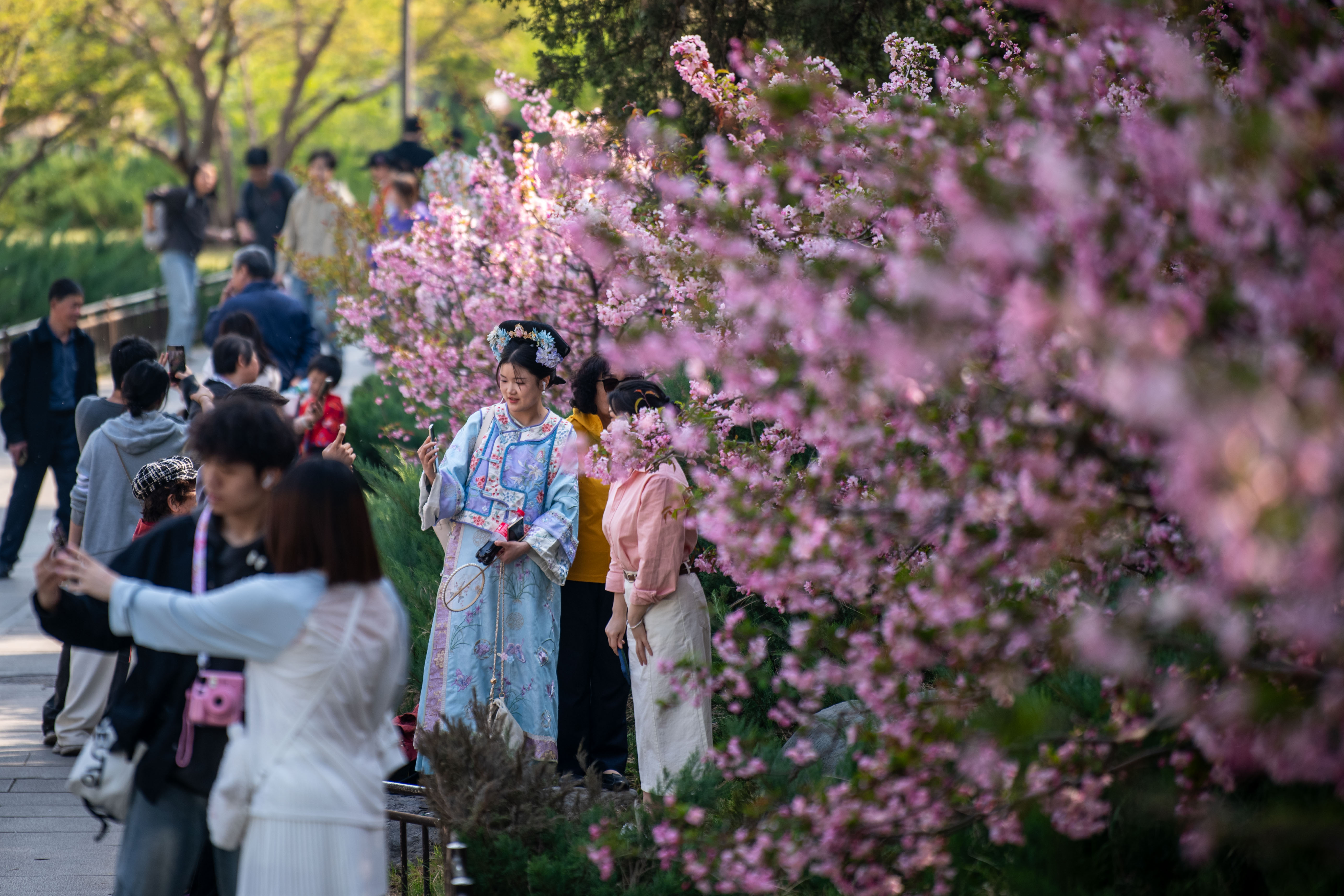 2025年4月6日，北京北海公園，滿園春色醉游人。人民網(wǎng)記者 翁奇羽攝