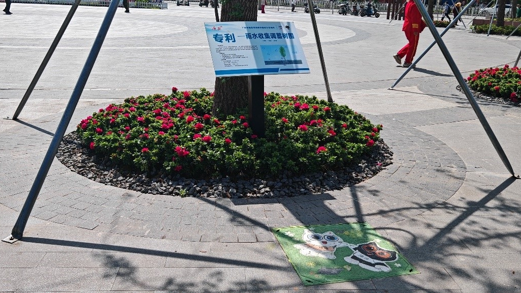 廣安“雨水收集調(diào)蓄樹池”，已在市內(nèi)公園落地運用。受訪者供圖
