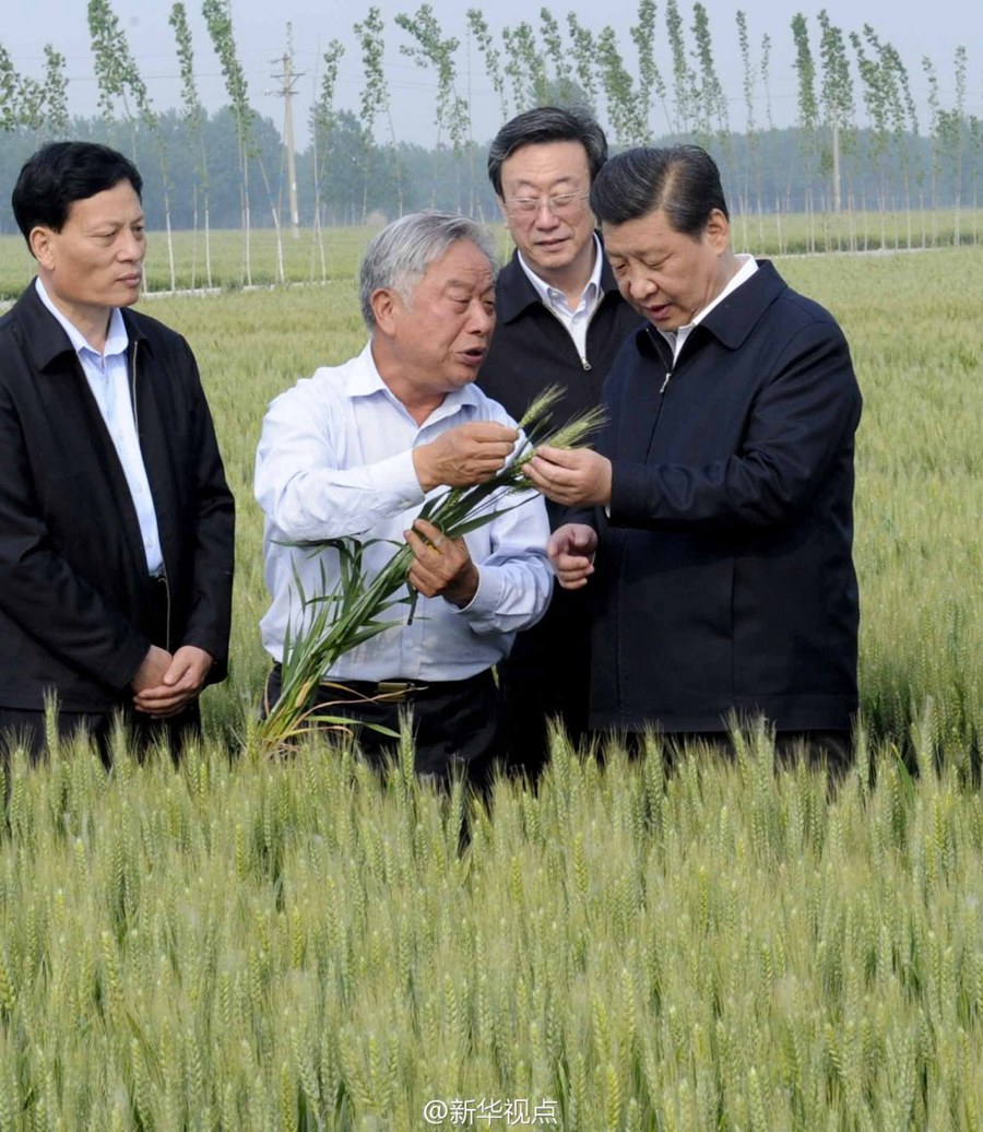 2014年5月，習(xí)近平總書記在河南省尉氏縣張市鎮(zhèn)高標(biāo)準(zhǔn)糧田察看小麥長(zhǎng)勢(shì)。