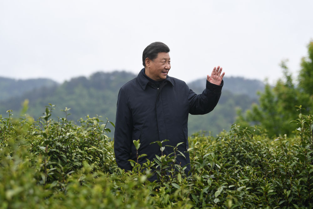2020年4月21日，習近平總書記來到陜西安康市平利縣老縣鎮(zhèn)，在茶園考察脫貧攻堅情況。新華社記者 燕雁 攝