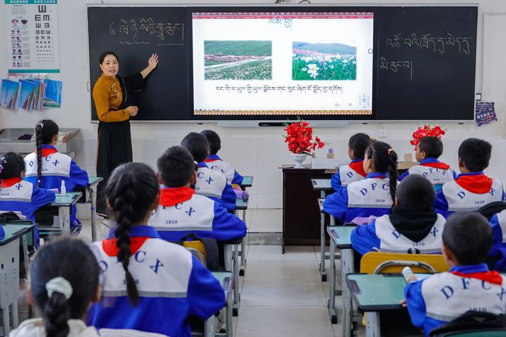 2024年9月27日，在四川省甘孜藏族自治州道孚縣城關(guān)第一完全小學(xué)，采取“藏加模式”教學(xué)的五年級一班的藏語文課上，準(zhǔn)木周老師指導(dǎo)藏族學(xué)生以家鄉(xiāng)草原風(fēng)物為主題寫作藏語文作文。新華社記者 沈伯韓 攝